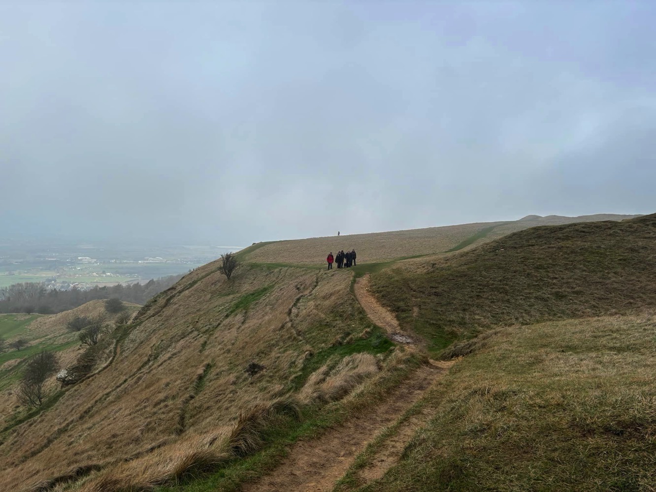 Stacks Image 8